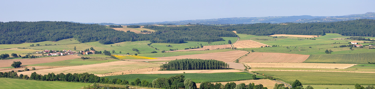 Paysage agricole n&#233;goce Renaud